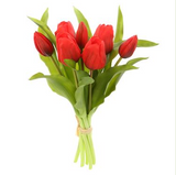 Tulip Bouquet RE