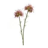 Allium Spray