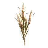 Astilbe Grass Spray