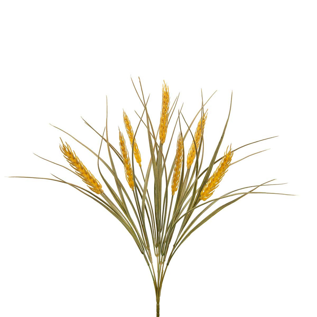 Wheat Grass Bush