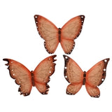 Apricot Resin Butterfly