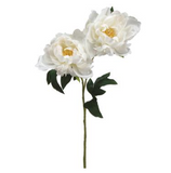 Peony Spray WH