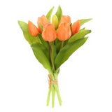 Tulip Bouquet OR