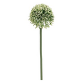 Allium Spray CRGR