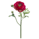 Ranunculus Spray BT