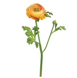 Ranunculus Spray YEGO