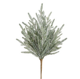 Soft Cypress Spray