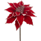 Iced Velvet Poinsettia RE