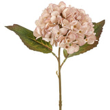 Hydrangea Spray CA