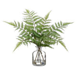 Forest Fern in Glass Vase