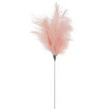 Ostrich Feather Pink