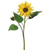 20" Sunflower YE