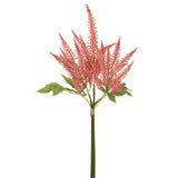 Astilbe Bundle