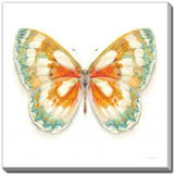 Fragile Wings Butterfly II